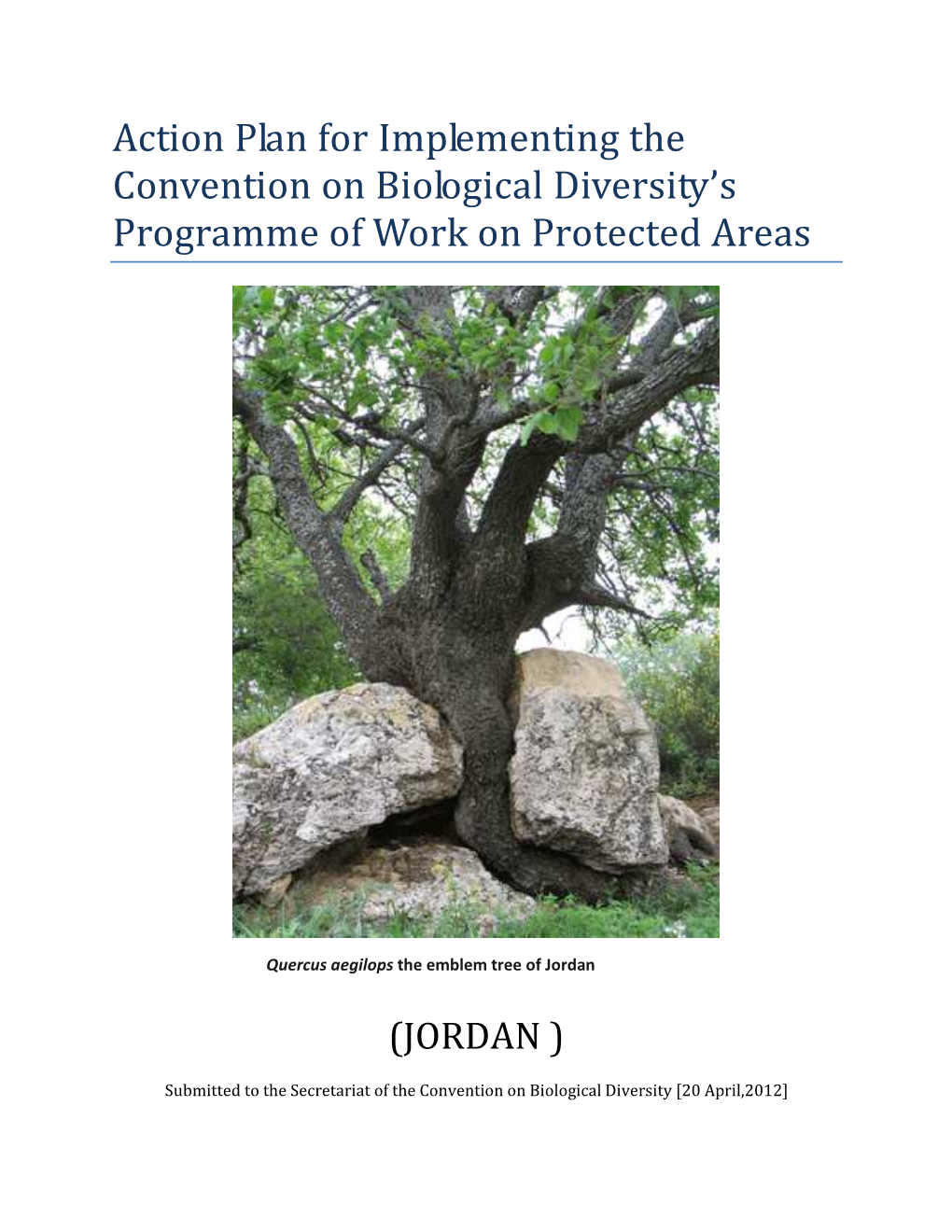 Action Plan for Implementing the Convention on Biological Diversity's