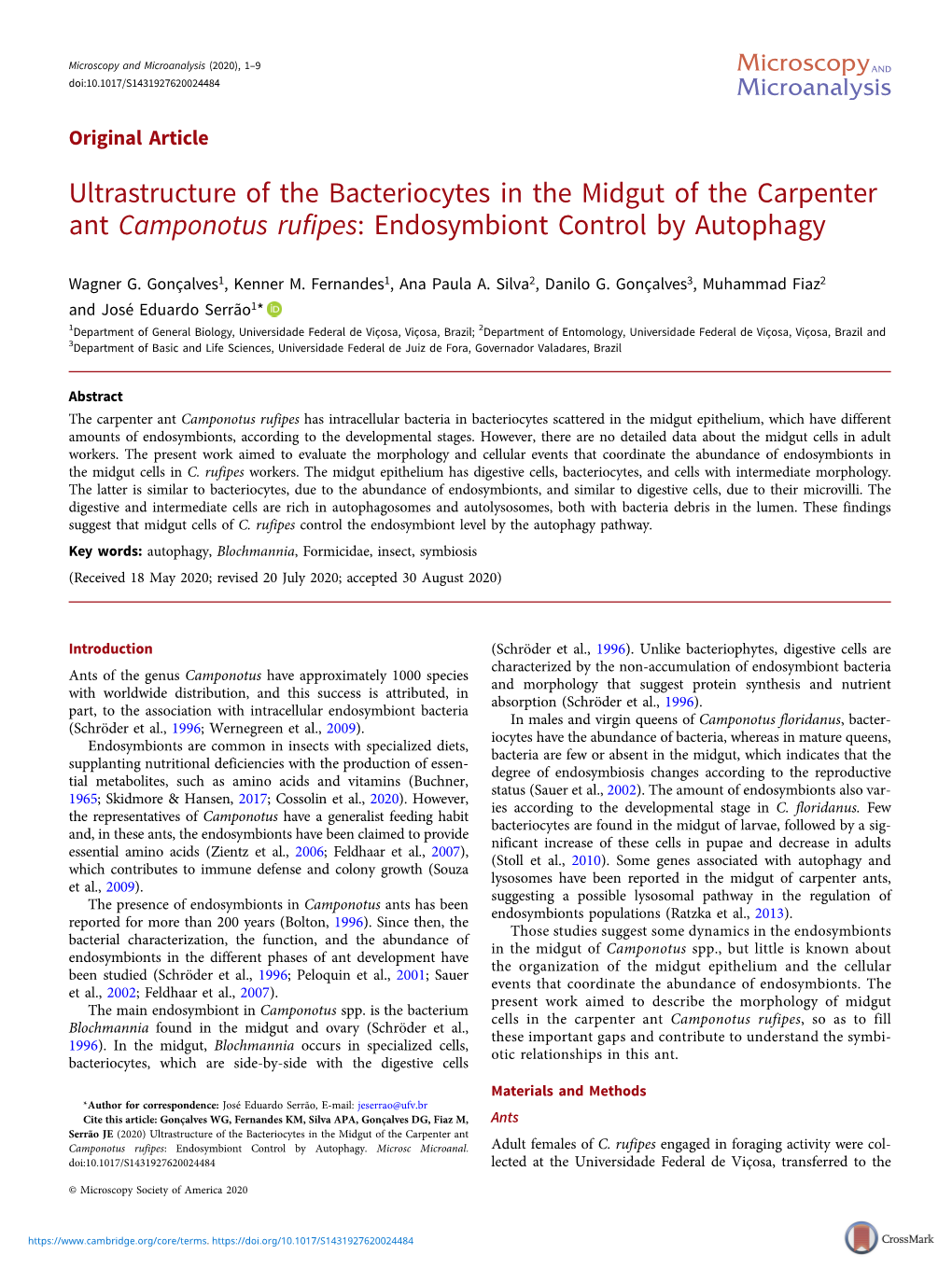 Ultrastructure of the Bacteriocytes in the Midgut of the Carpenter Ant Camponotus Rufipes: Endosymbiont Control by Autophagy