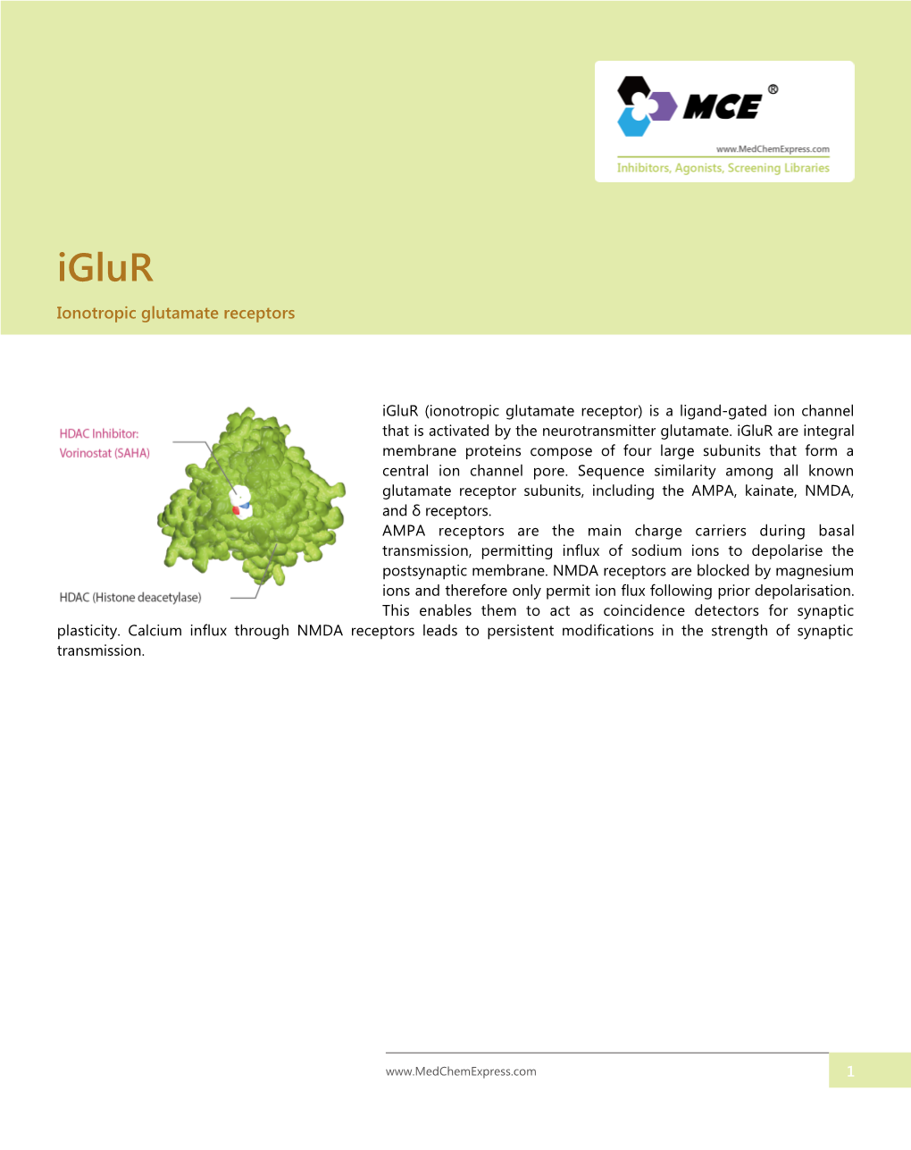 Ionotropic Glutamate Receptors