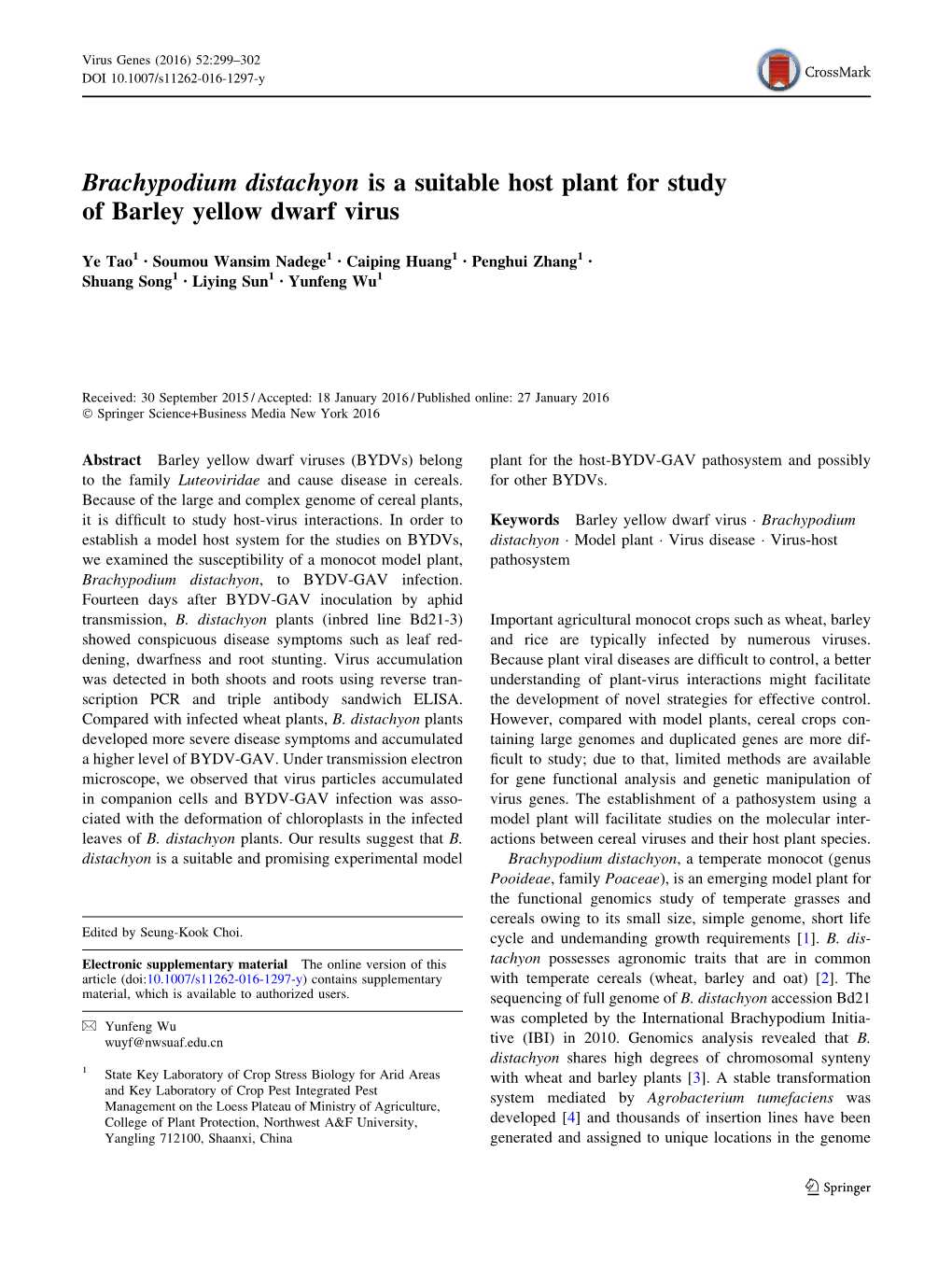 Brachypodium Distachyon Is a Suitable Host Plant for Study of Barley Yellow Dwarf Virus