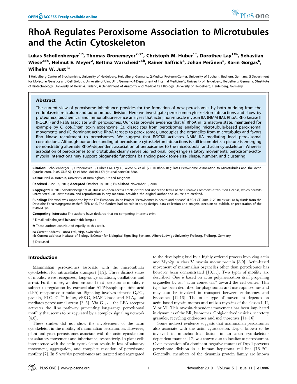 Rhoa Regulates Peroxisome Association to Microtubules and the Actin Cytoskeleton