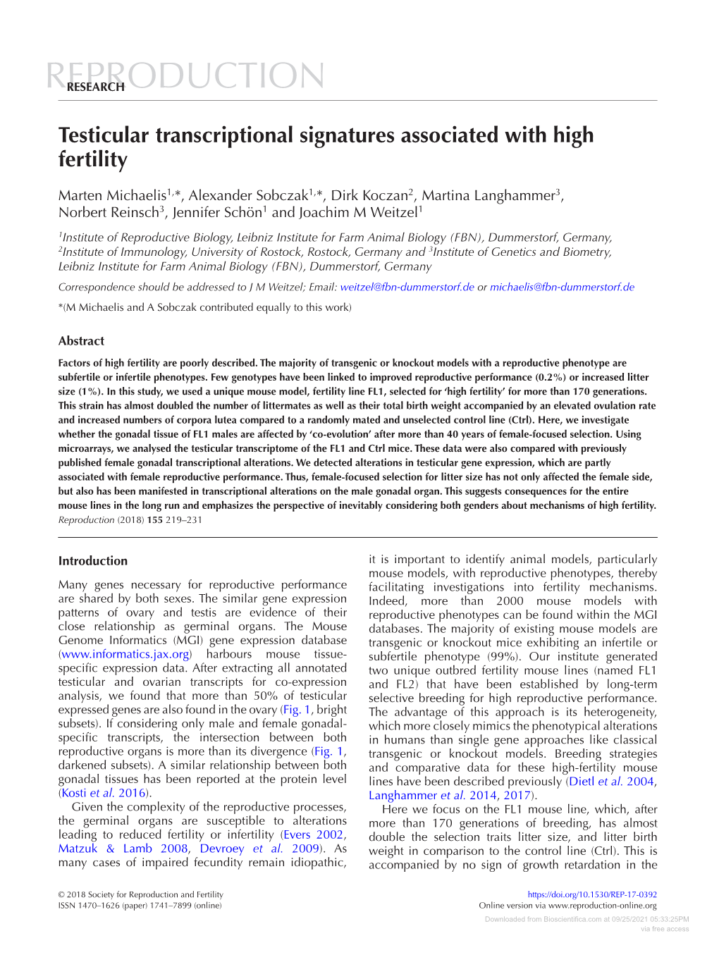 Testicular Transcriptional Signatures Associated with High Fertility