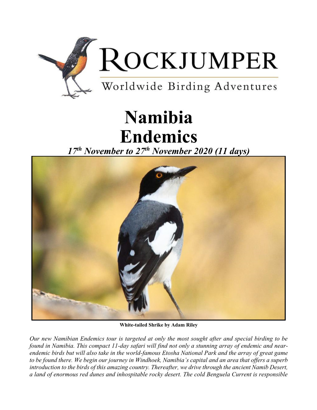 Namibia Endemics 17Th November to 27Th November 2020 (11 Days)