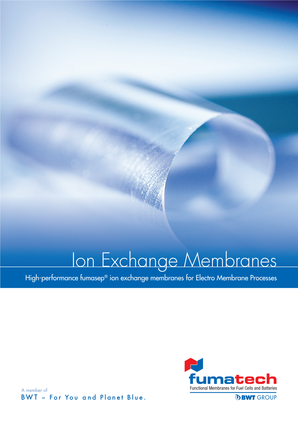 Ion Exchange Membranes