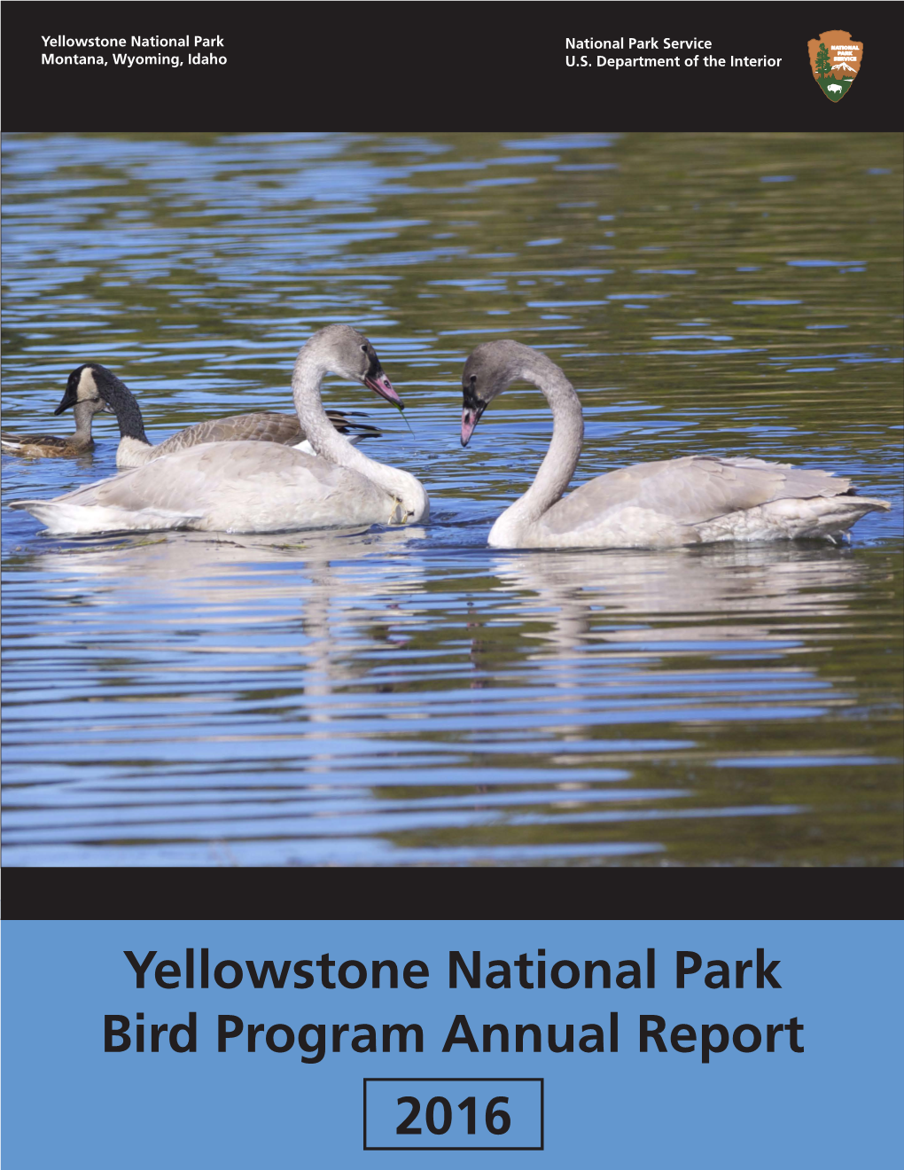 Yellowstone Bird Program 2016 Annual Report