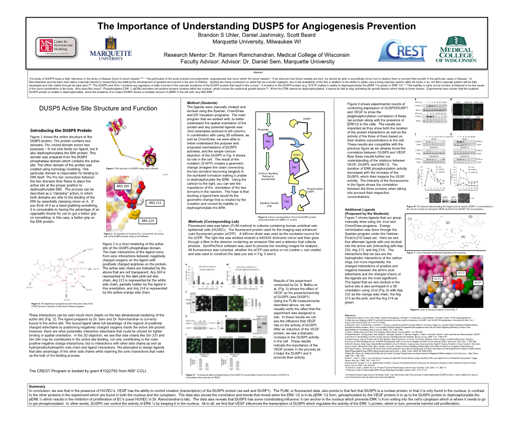 The Importance of Understanding DUSP5 for Angiogenesis Prevention Brandon S Uhler, Daniel Jashinsky, Scott Beard Marquette University, Milwaukee WI