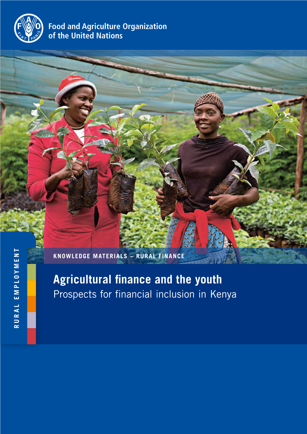 Agricultural Finance and the Youth: Prospects for Financial Inclusion in Kenya