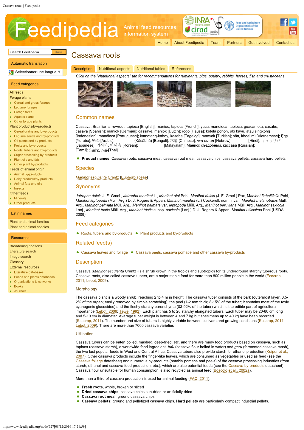 Cassava Roots | Feedipedia