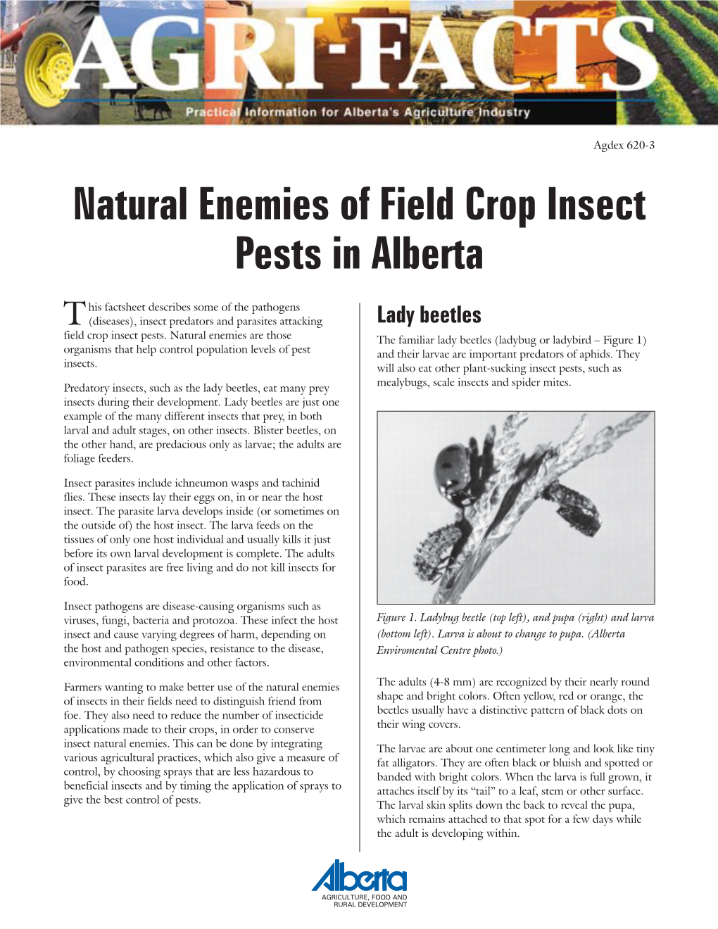 Natural Enemies of Field Crop Insect Pests in Alberta