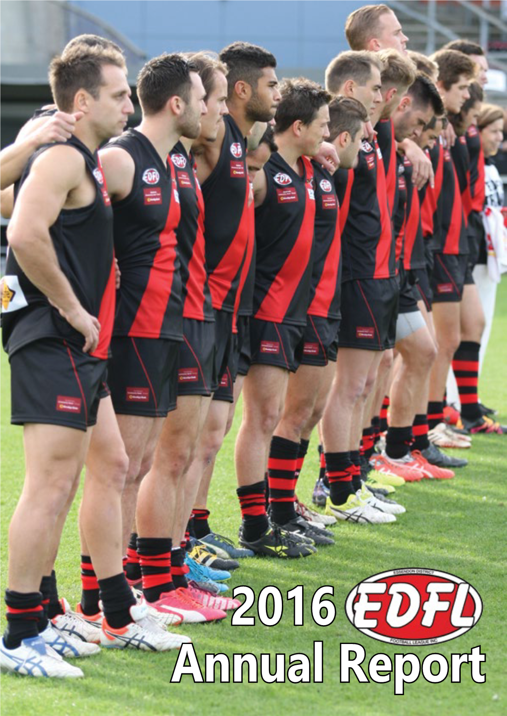 2016 EDFL Annual Report