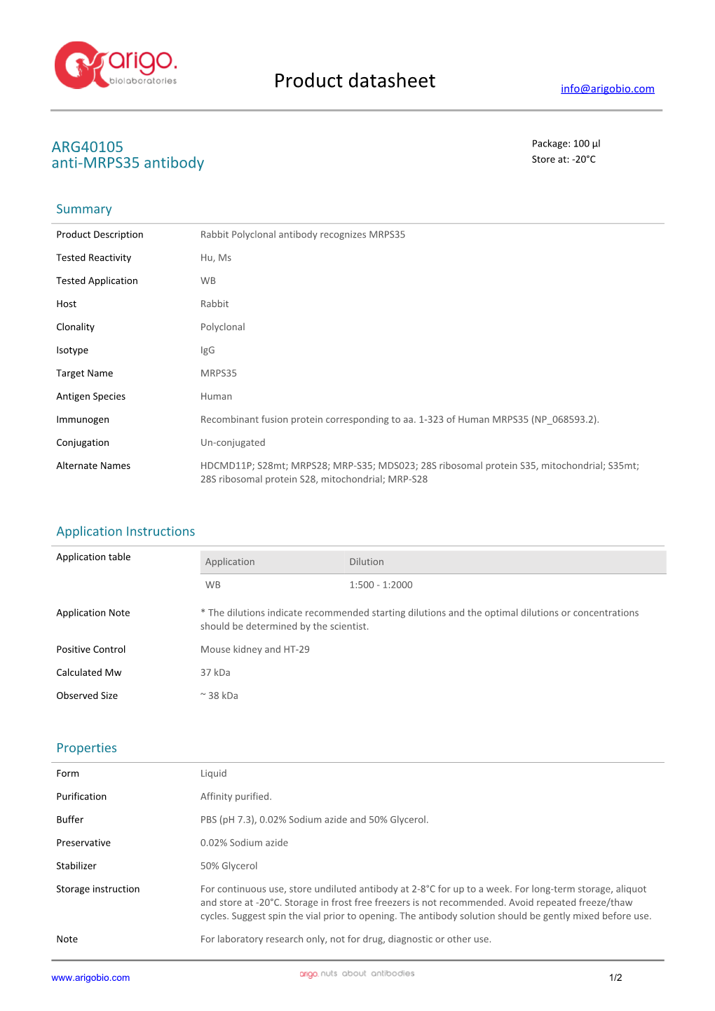 Anti-MRPS35 Antibody (ARG40105)