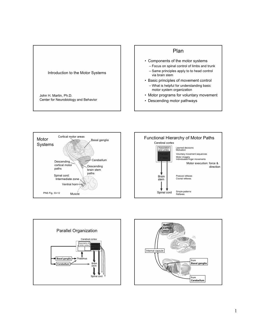 Motor Systems Functional Hierarchy of Motor Paths Parallel Organization