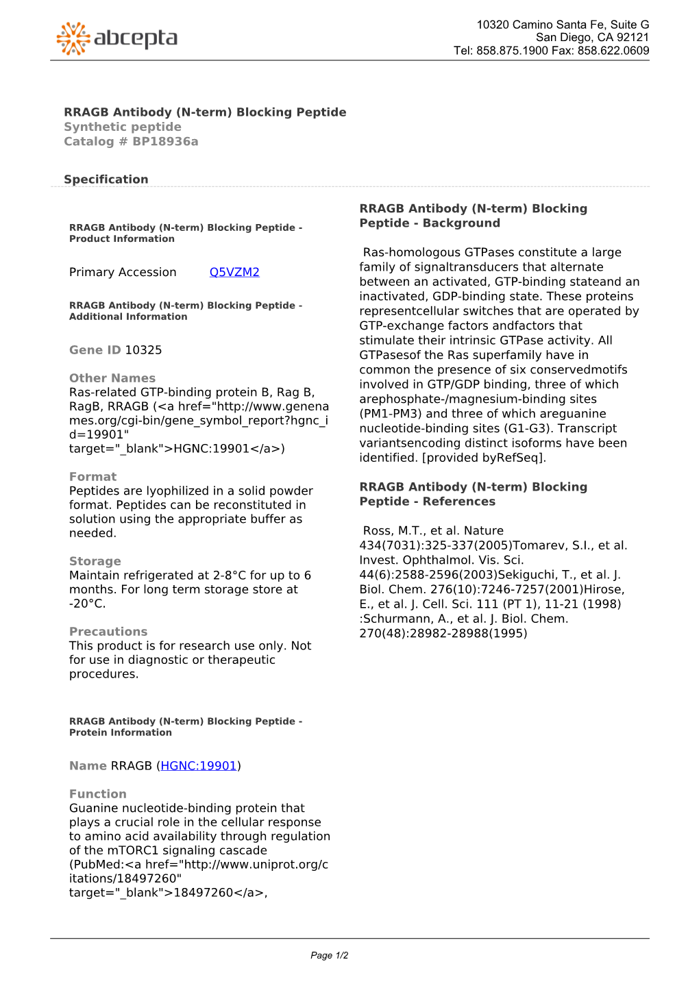 RRAGB Antibody (N-Term) Blocking Peptide Synthetic Peptide Catalog # Bp18936a