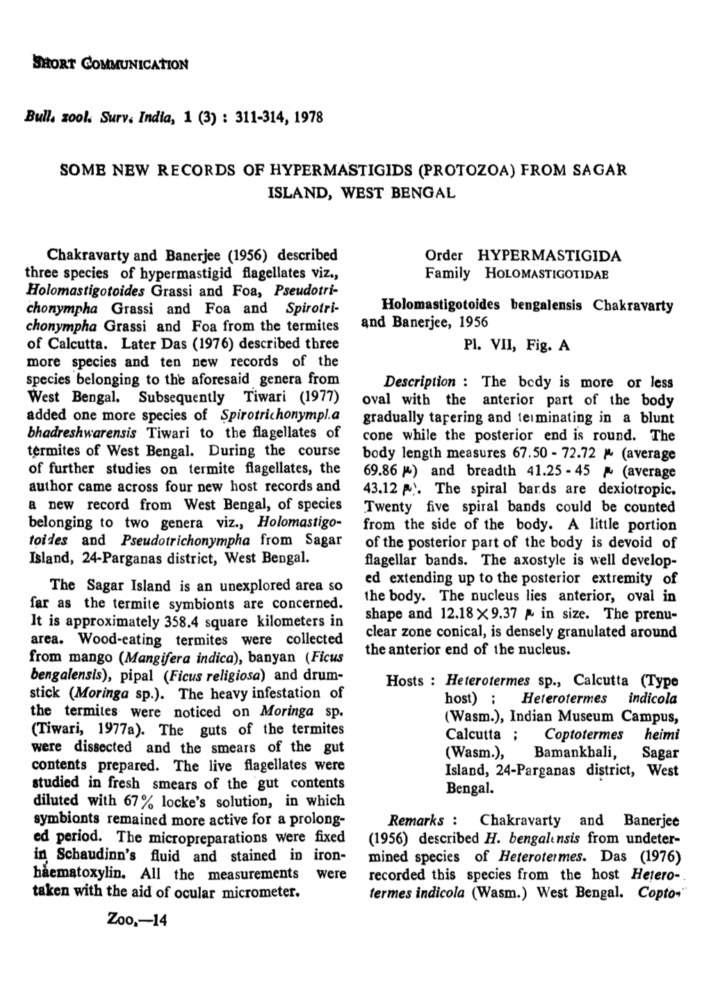 Zoo.-14 Bulle,Tln of the Zoological Survey of I"Dla Termes Heimi (Wasm.) Is Therefore a New Host Holomastigotoidf8 Ogivalis D~ Mello, 1935 Record for H