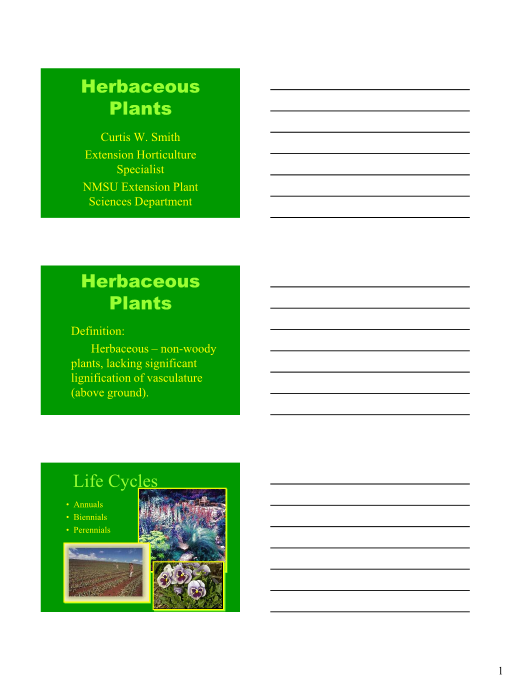 Herbaceous Plants Curtis W