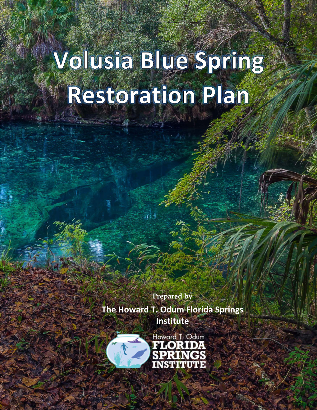 Volusia Blue Spring Restoration Plan