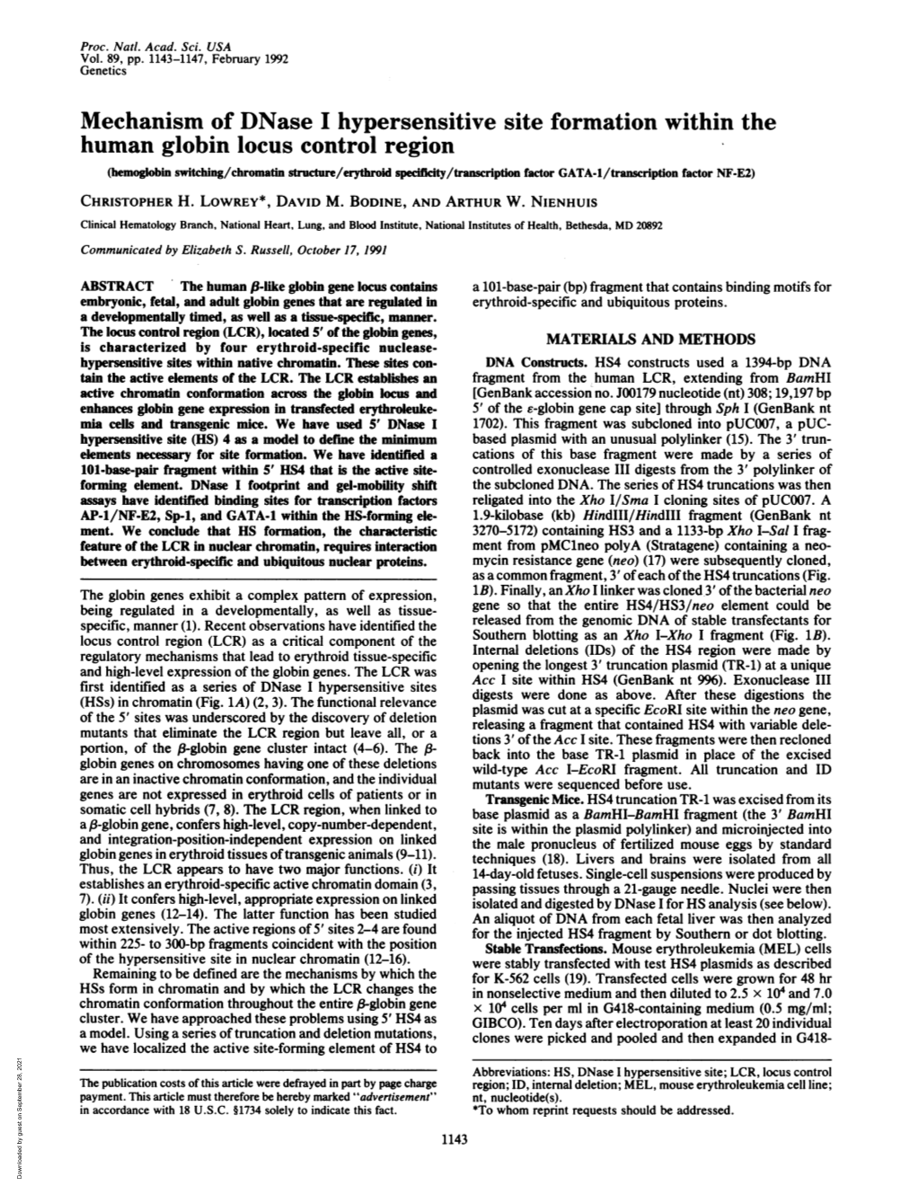 Mechanism of Dnase I Hypersensitive Site Formation Within the Human