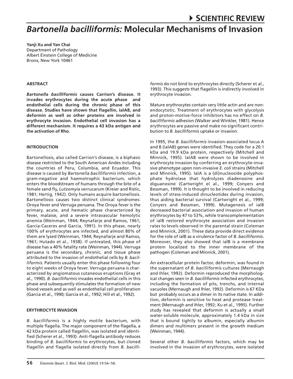 Bartonella Bacilliformis: Molecular Mechanisms of Invasion