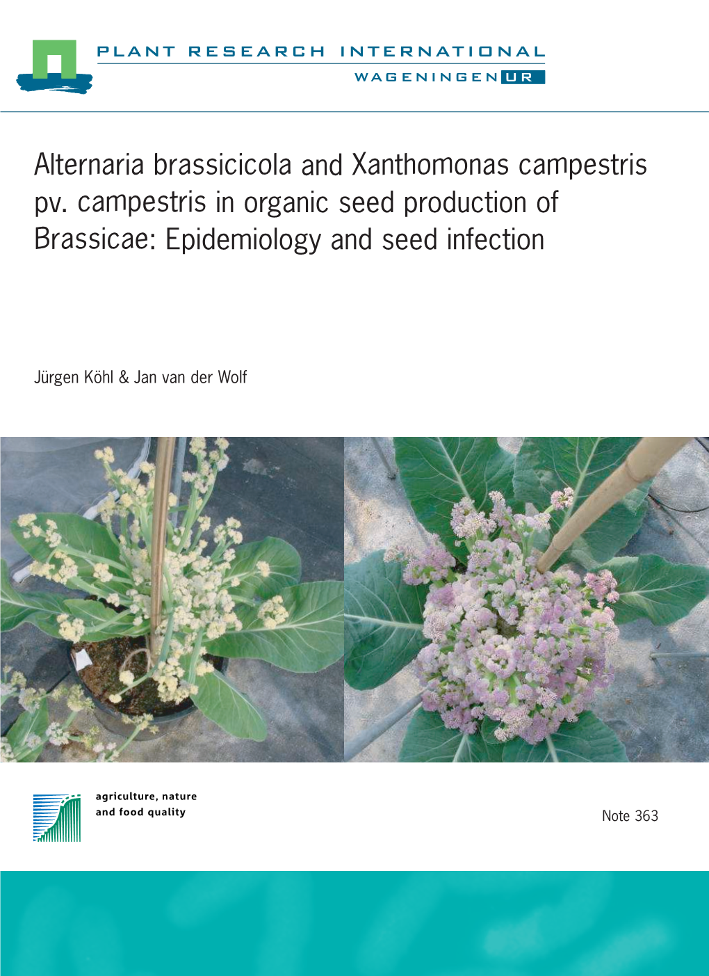 Alternaria Brassicicola and Xanthomonas Campestris Pv