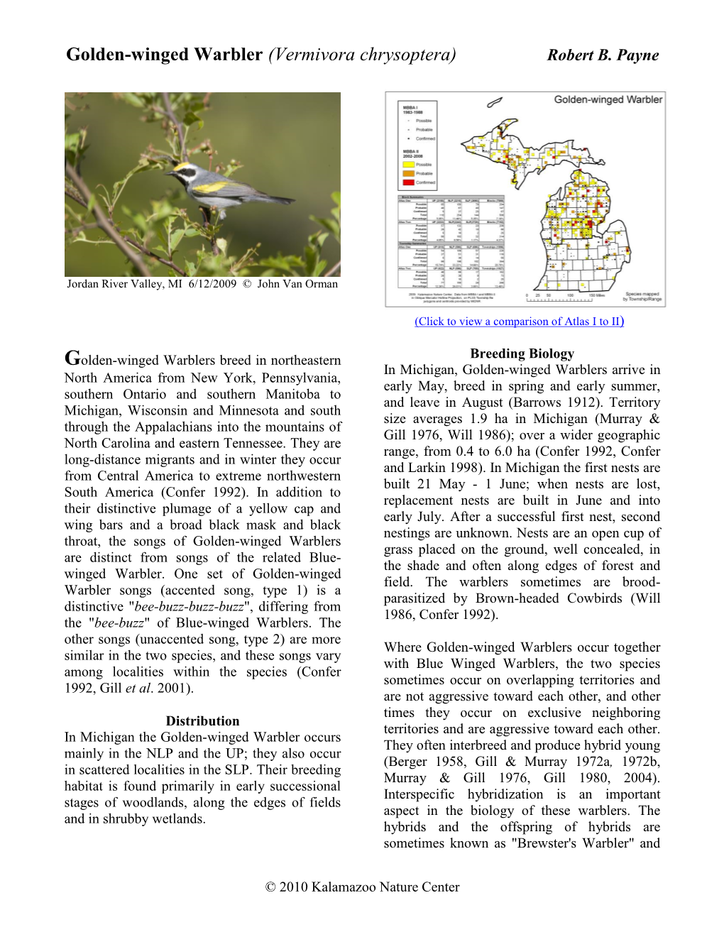 Golden-Winged Warbler (Vermivora Chrysoptera) Robert B