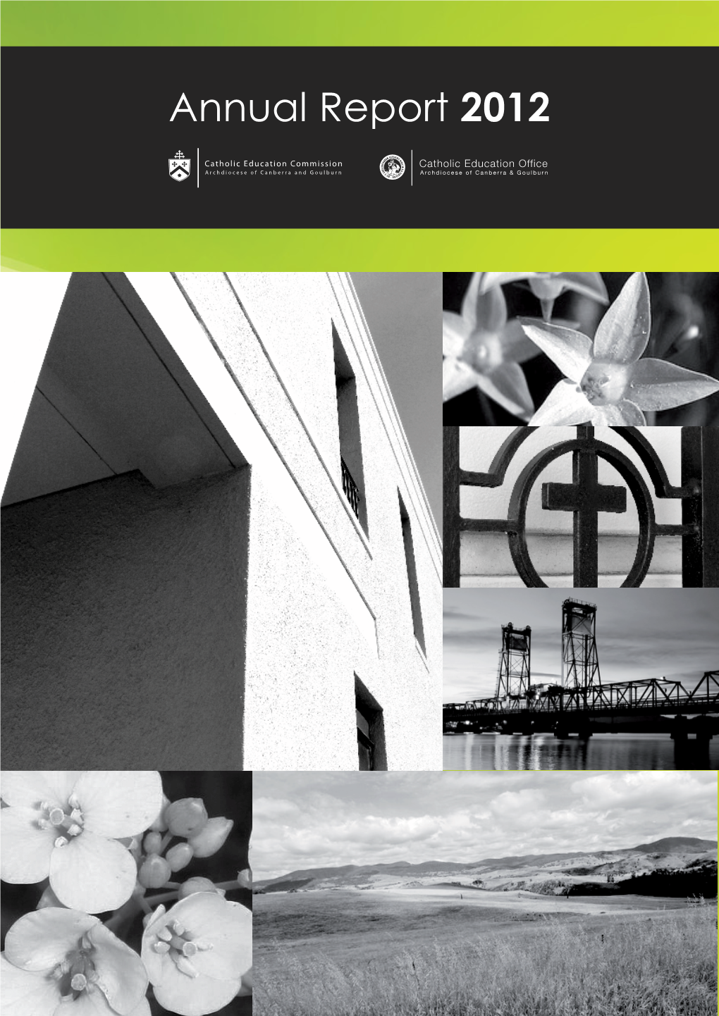 Annual Report 2012