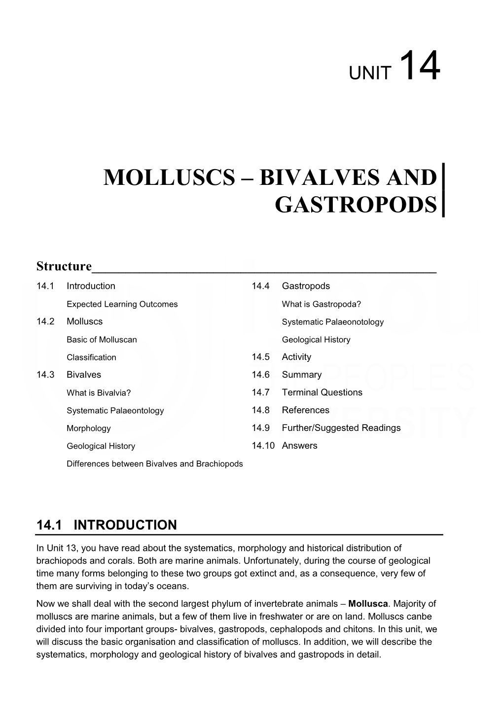 Molluscs – Bivalves and Gastropods Unit……………………………………………………………………………………………….…