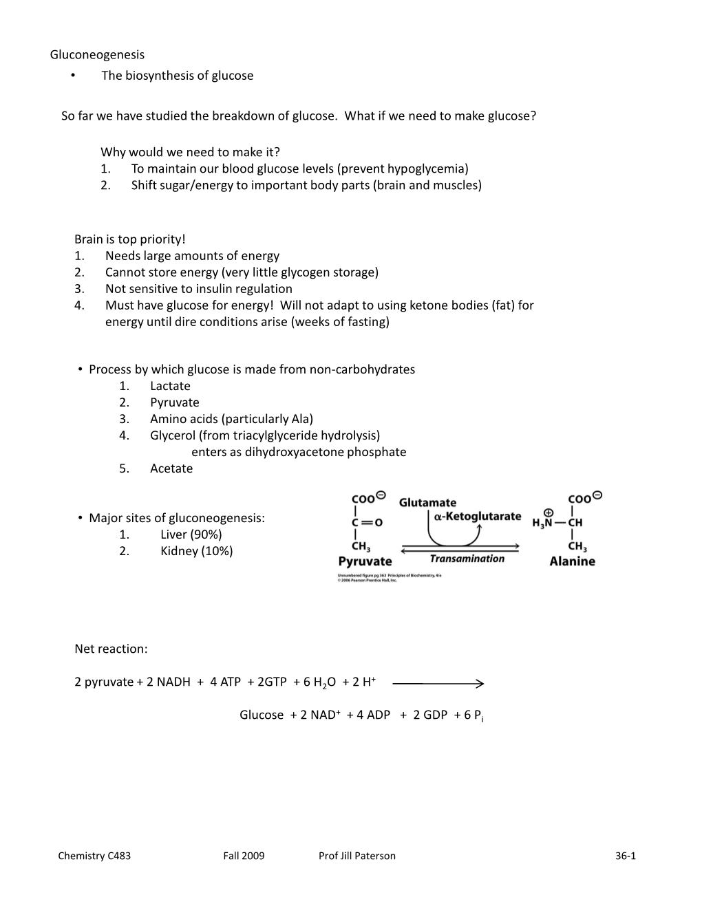 Gluconeogenesis • the Biosynthesis of Glucose