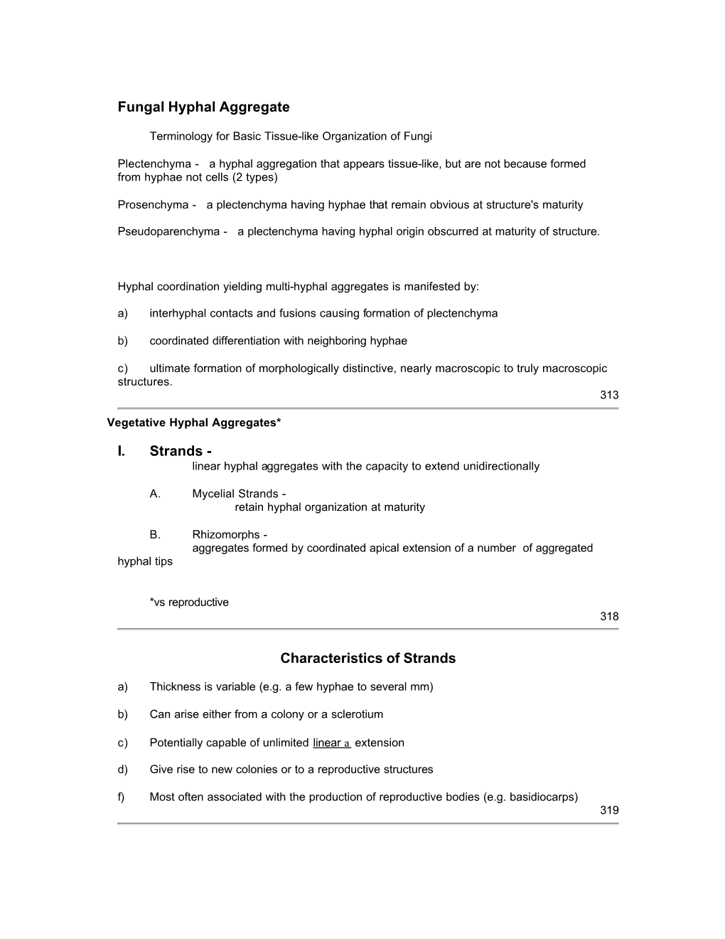 Fungal Hyphal Aggregate I. Strands