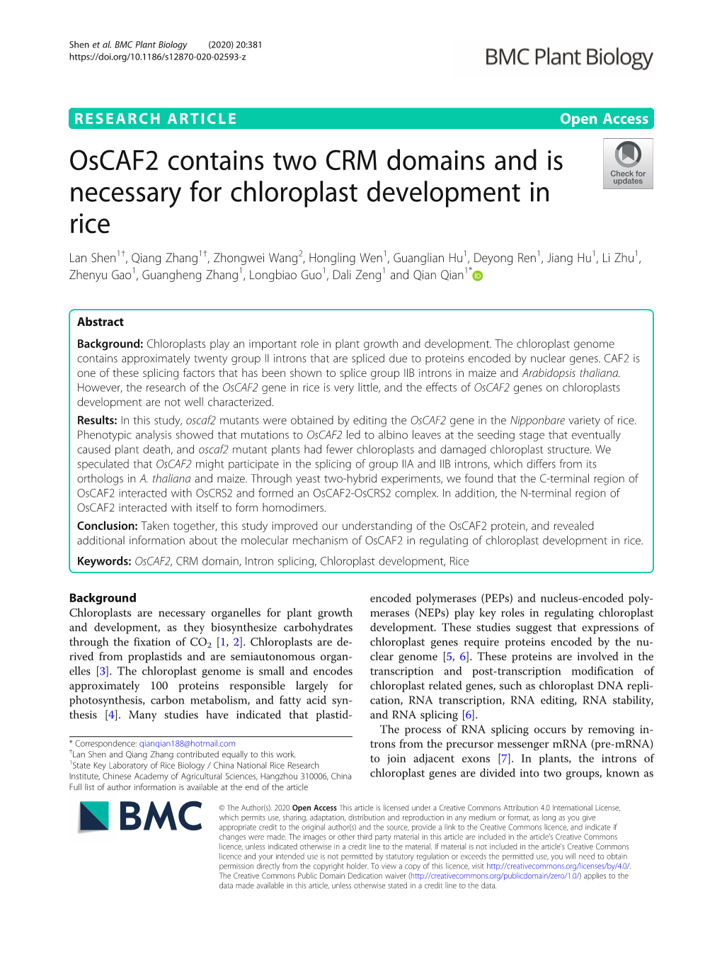 Oscaf2 Contains Two CRM Domains and Is Necessary for Chloroplast