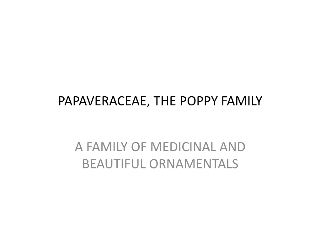 Papaveraceae, the Poppy Family