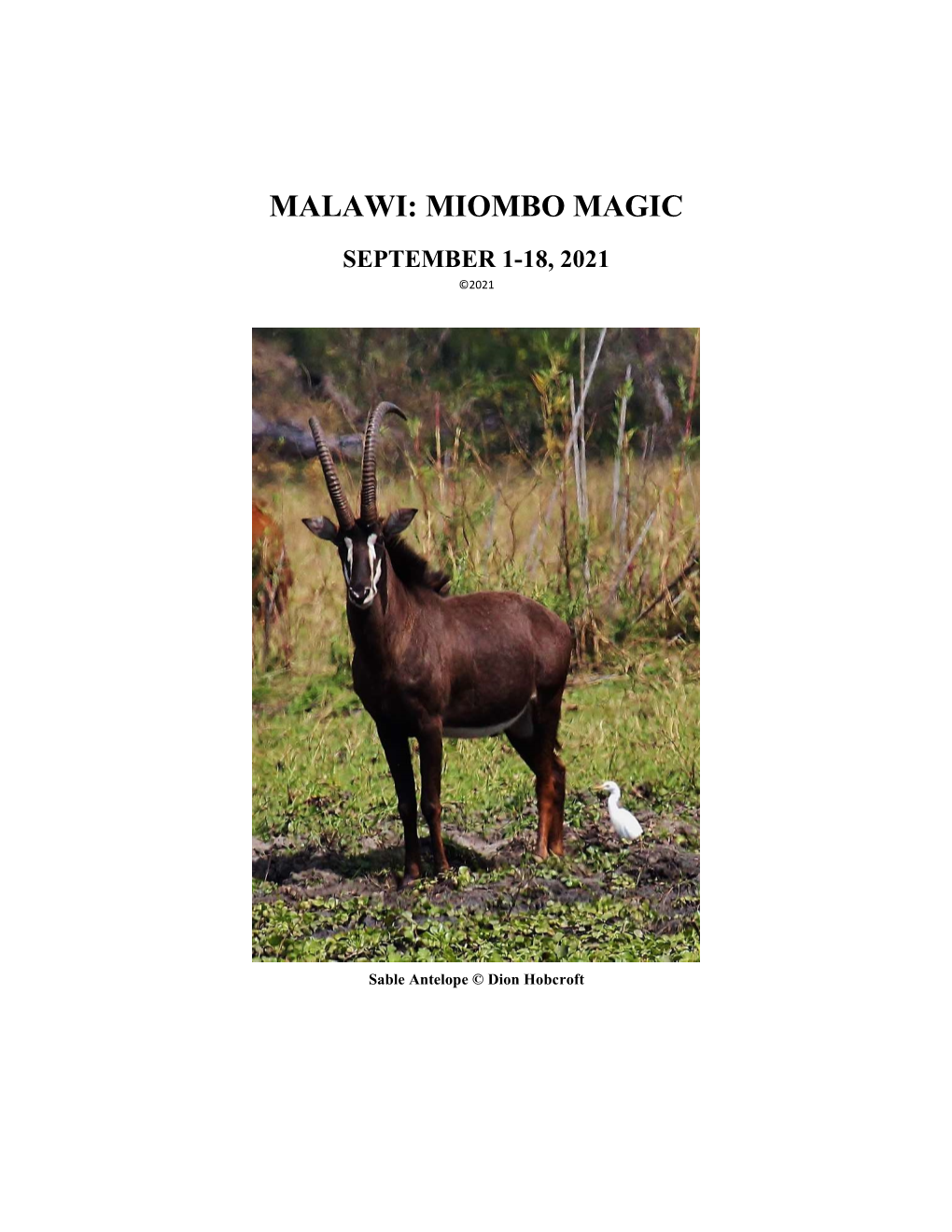 Malawi: Miombo Magic September 1-18, 2021 ©2021