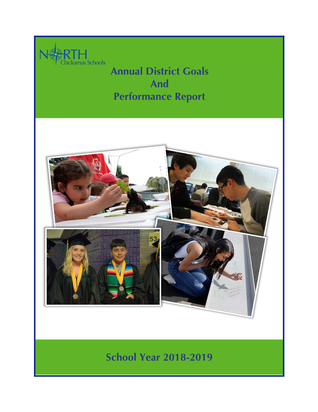 2018-2019 Annual District Performance Report