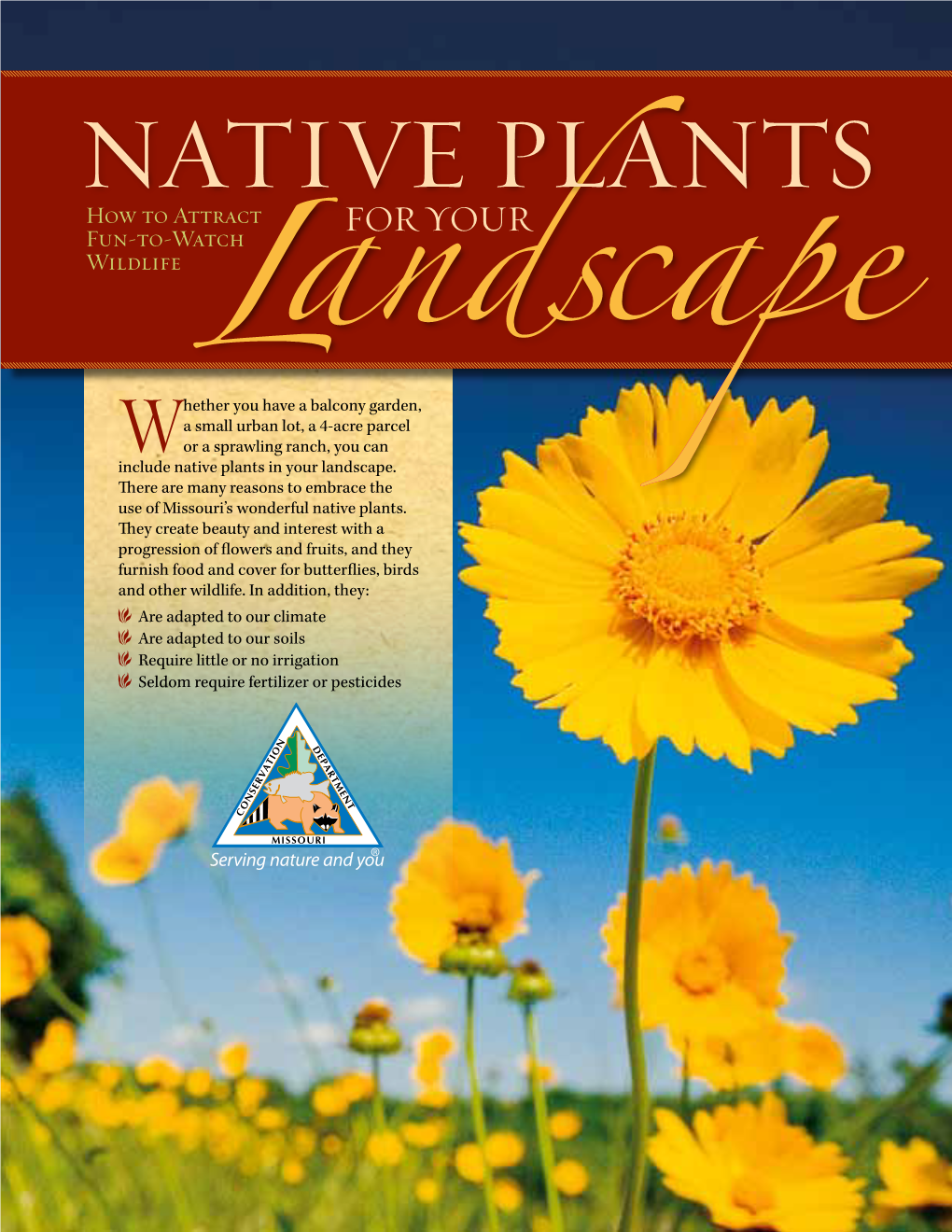 Native Plants for Your Landscape