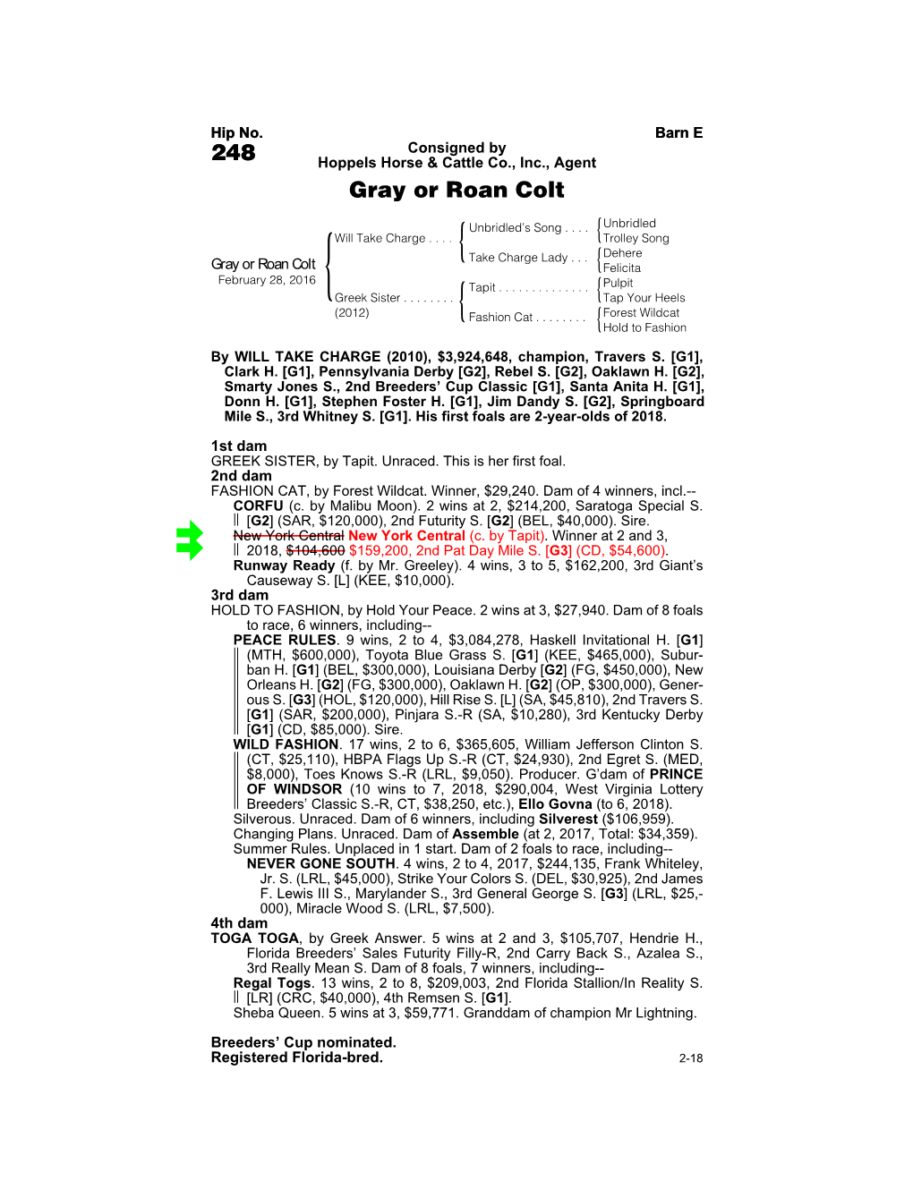 248 Hoppels Horse & Cattle Co., Inc., Agent Gray Or Roan Colt