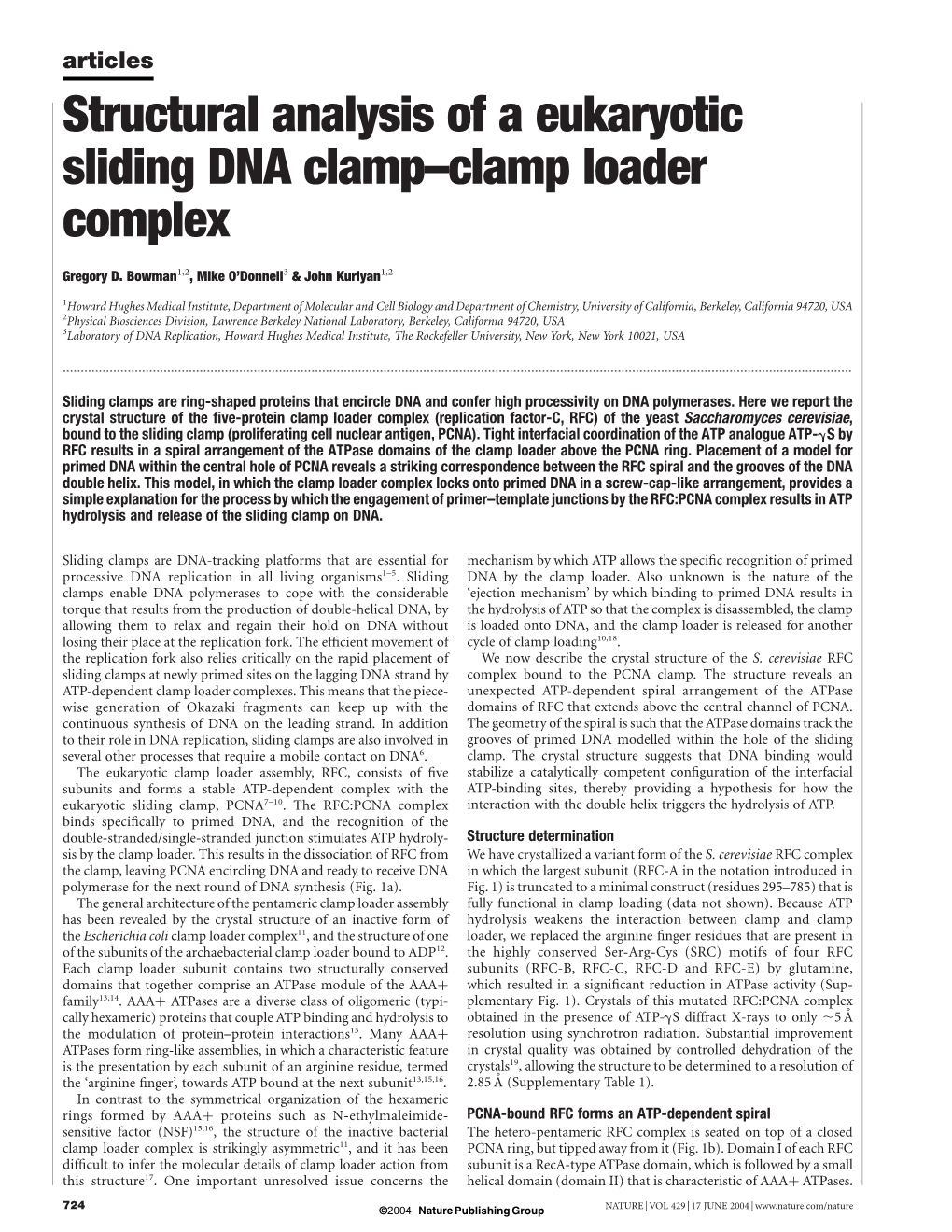 Structural Analysis of a Eukaryotic Sliding DNA Clamp–Clamp Loader Complex