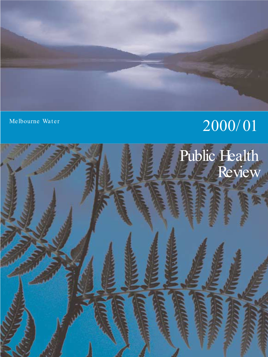 Public Health Review 2000/01 (The ‘Report’)