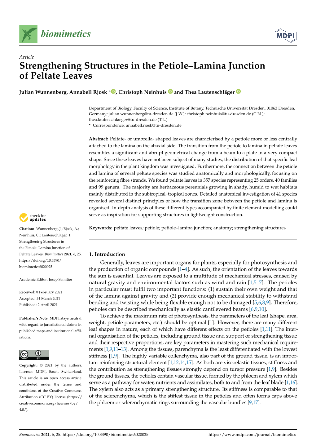 Strengthening Structures in the Petiole–Lamina Junction of Peltate Leaves