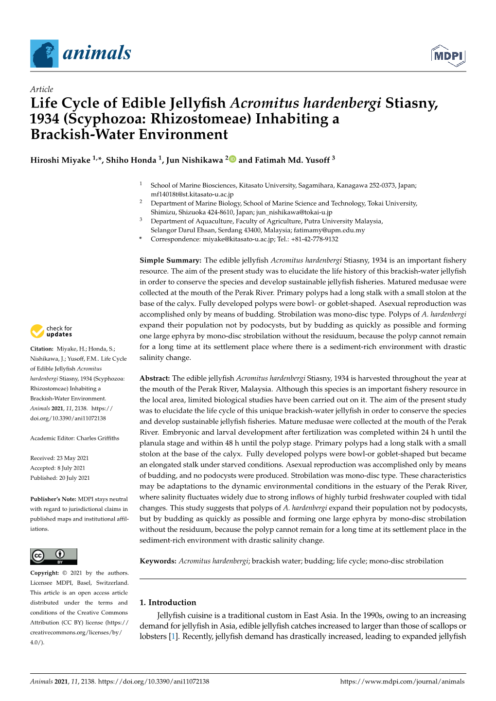 Scyphozoa: Rhizostomeae) Inhabiting a Brackish-Water Environment