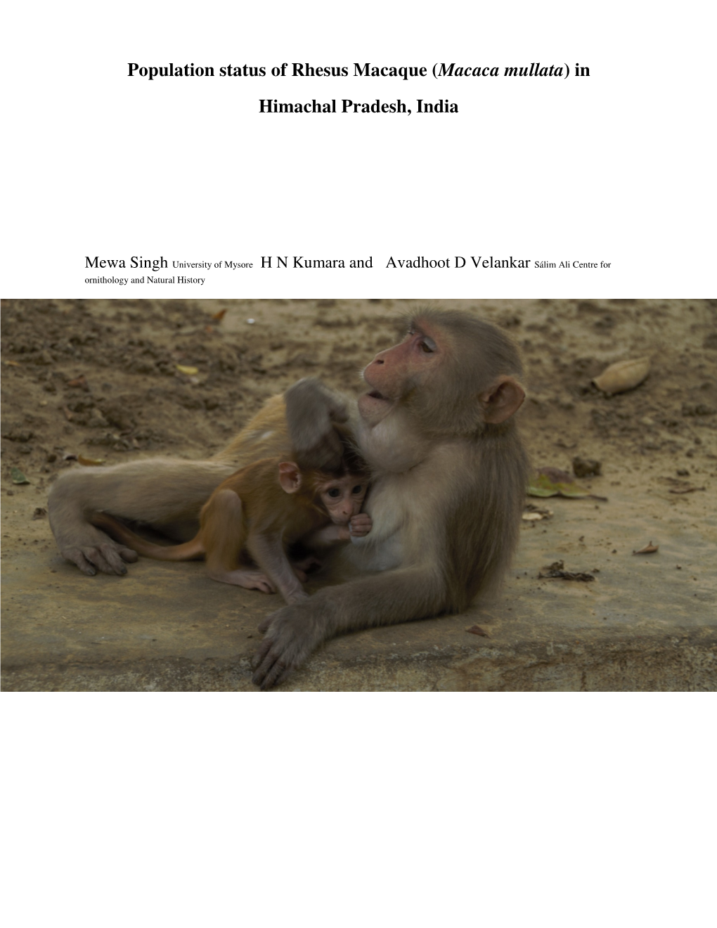 Population Status of Rhesus Macaque (Macaca Mullata) in Himachal Pradesh, India