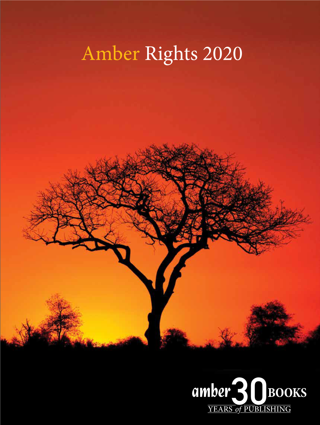 Amber Rights 2020 North Road London N7 9DP United Kingdom Tel: +44 (0)20 7520 7600