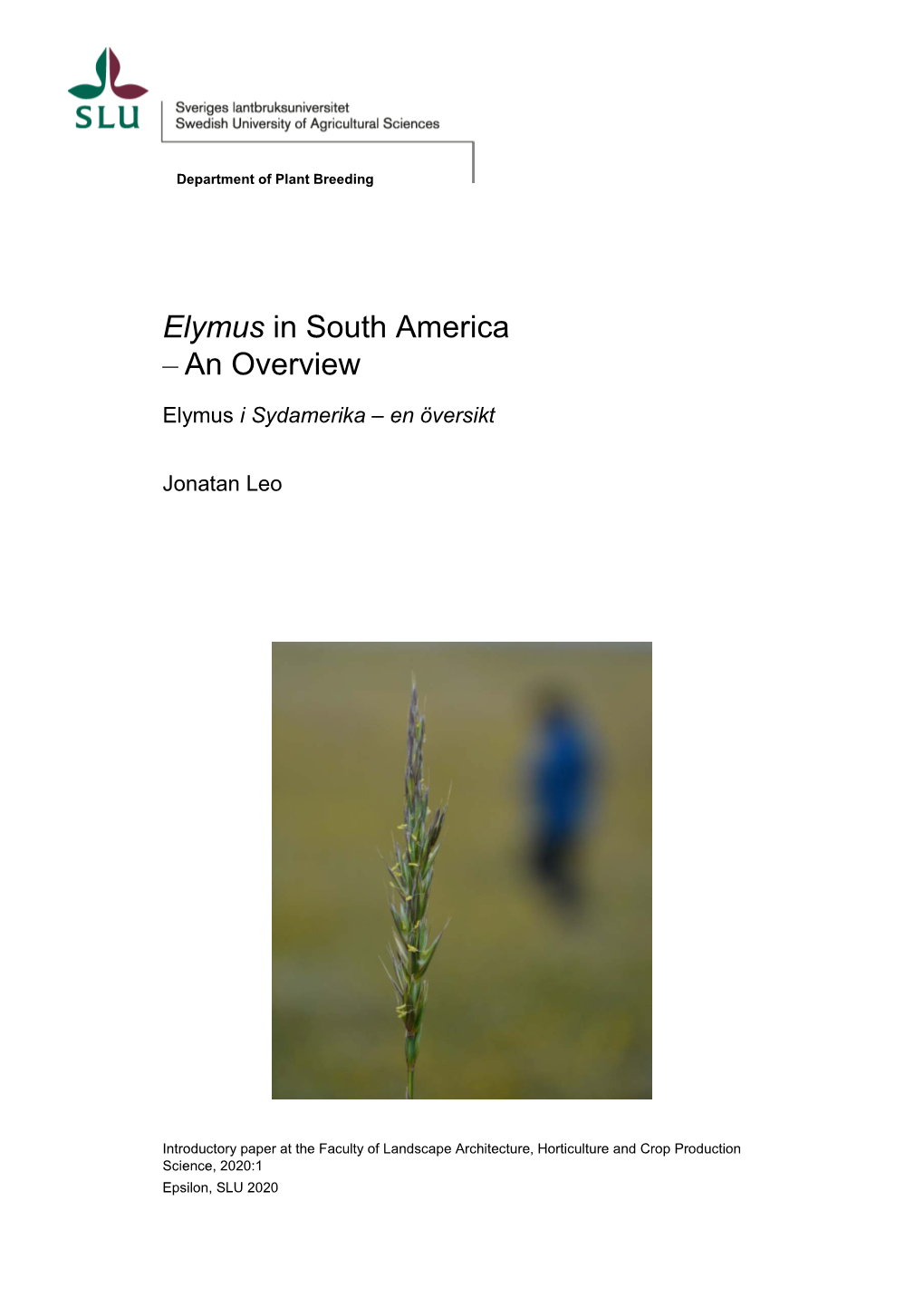 Elymus in South America – an Overview