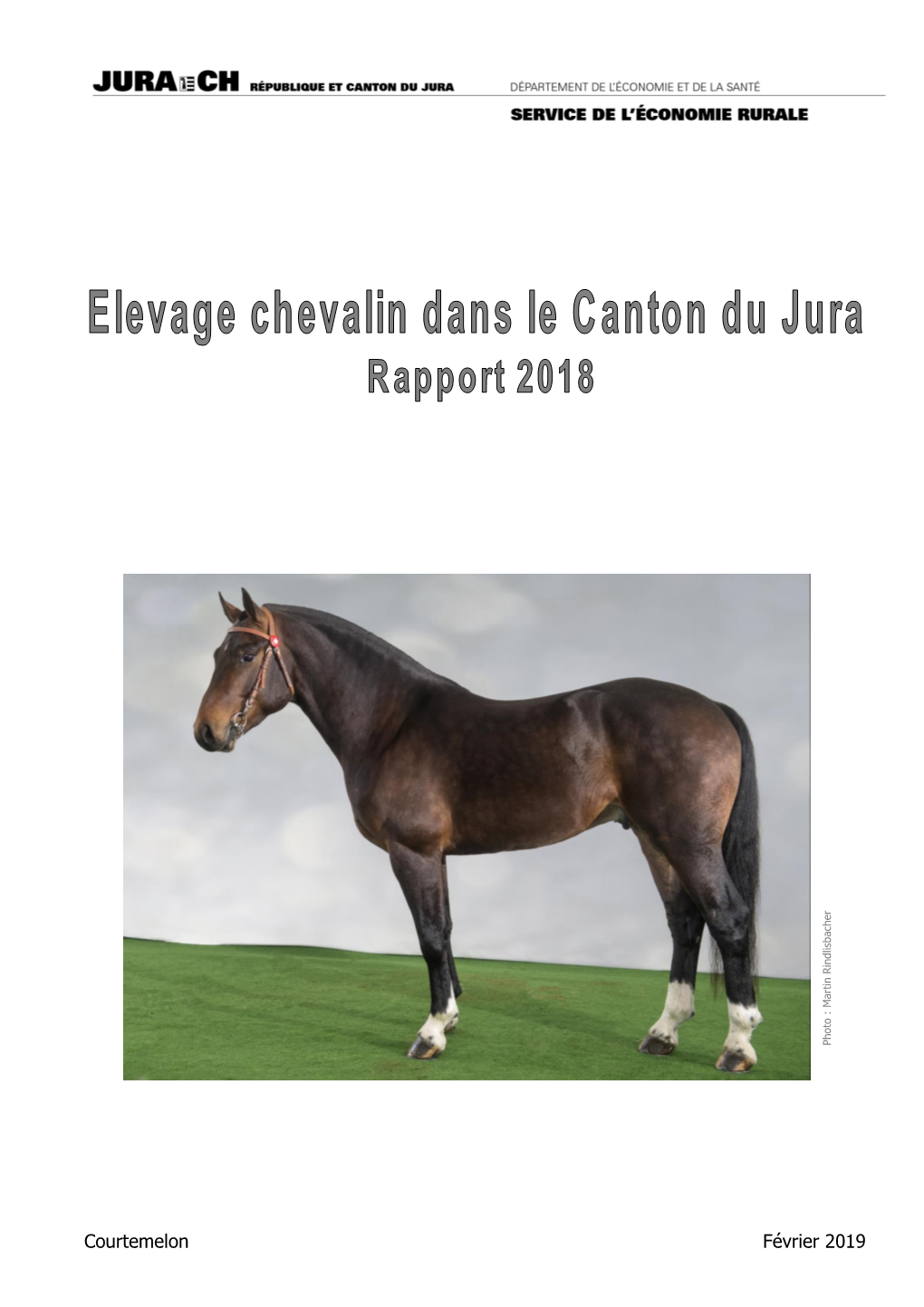 Courtemelon Février 2019 Liste Des Chevaux À Vendre : Franches-Montagnes Et Demi-Sang