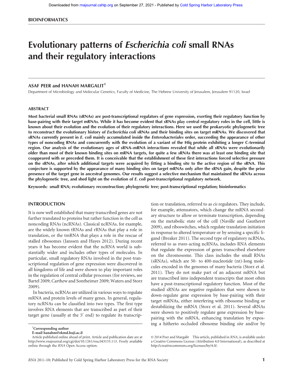 Evolutionary Patterns of Escherichia Coli Small Rnas and Their Regulatory Interactions