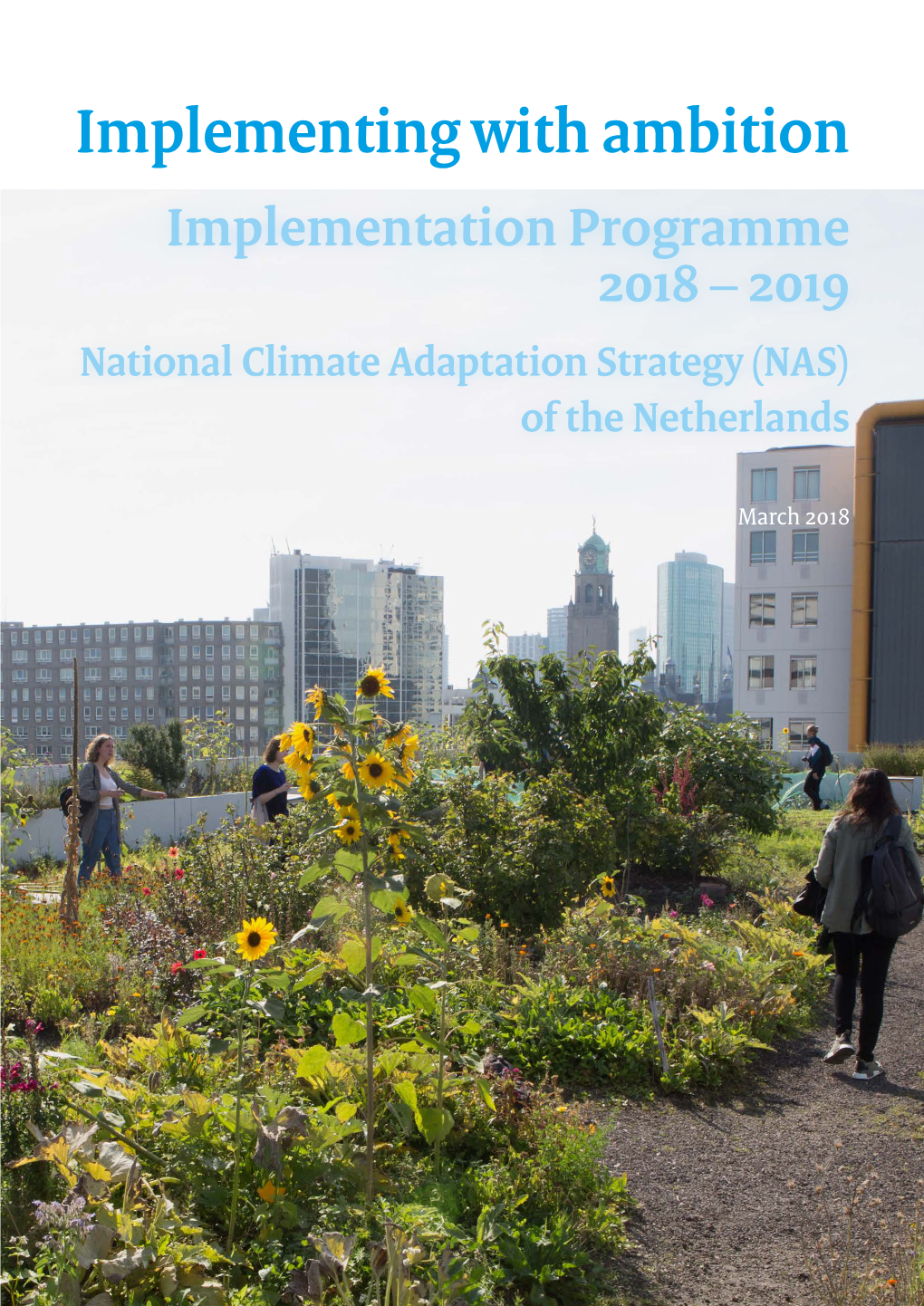 NAS Implementation Programme 6