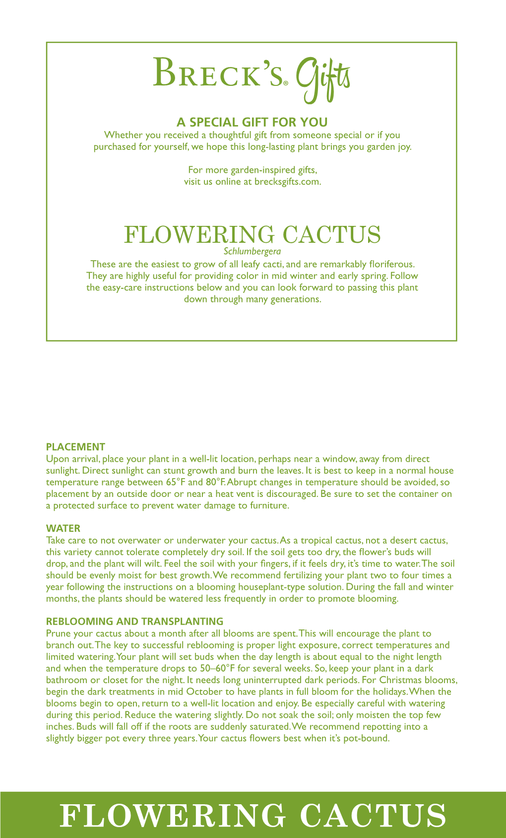 FLOWERING CACTUS Schlumbergera These Are the Easiest to Grow of All Leafy Cacti, and Are Remarkably Oriferous
