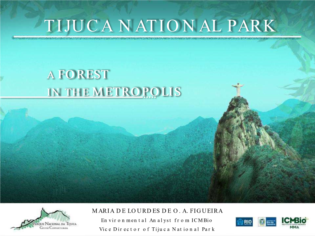 Tijuca National Park