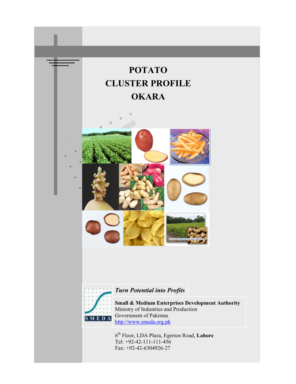 Potato Cluster Profile Okara