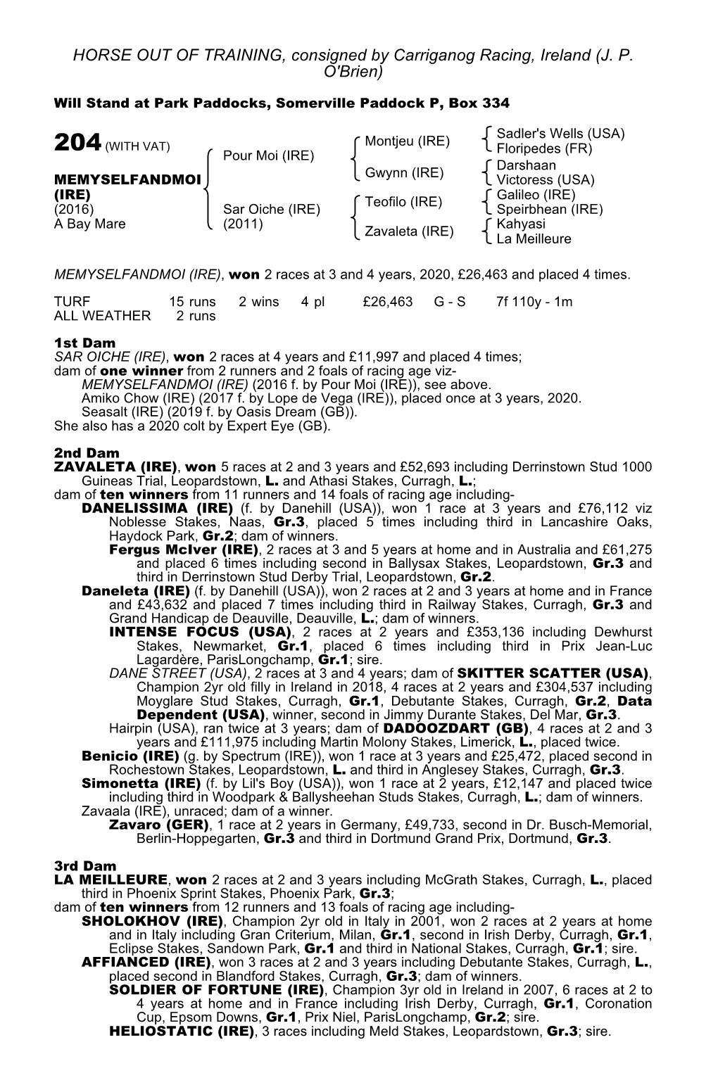 HORSE out of TRAINING, Consigned by Carriganog Racing, Ireland (J