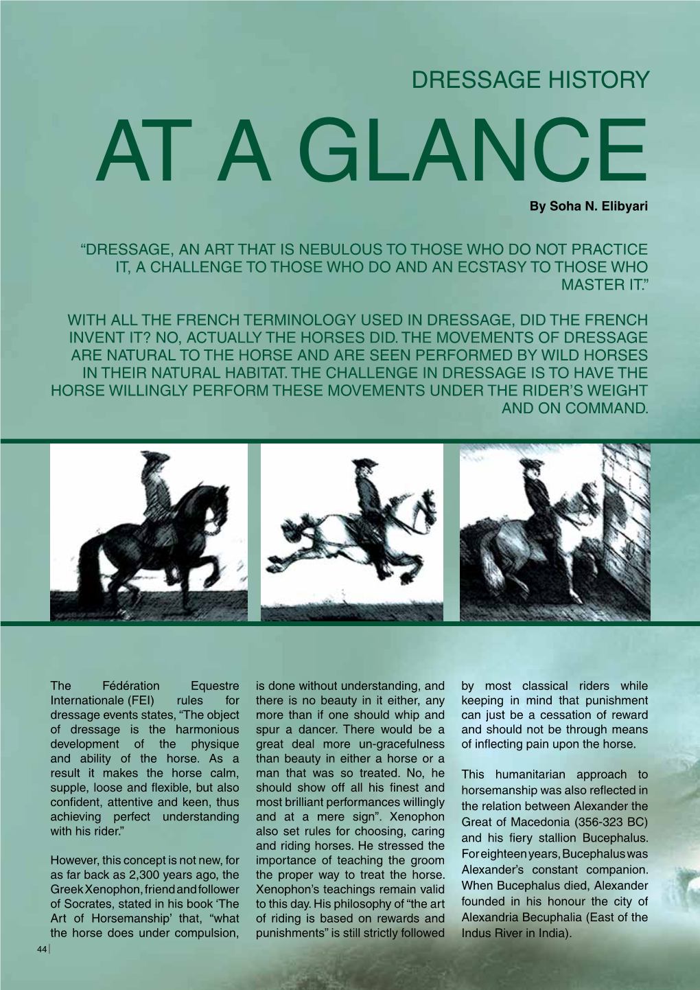 DRESSAGE HISTORY at a GLANCE by Soha N