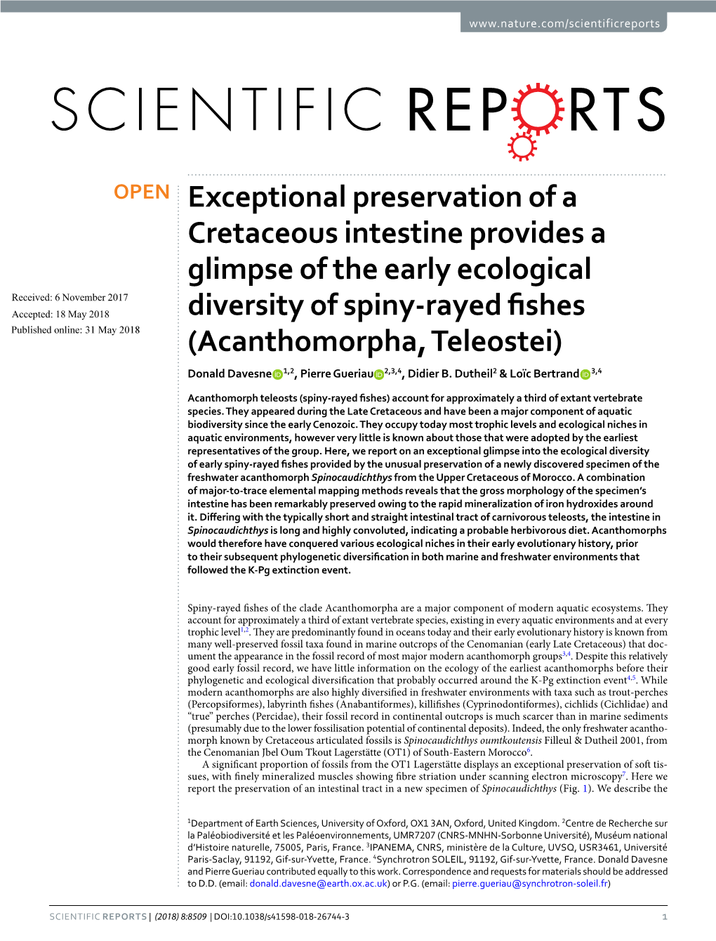 Exceptional Preservation of a Cretaceous Intestine Provides A